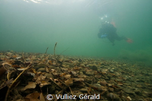 Diver in cold water by Vulliez Gérald 